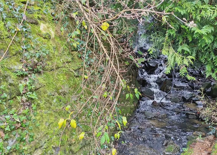 Le Rendez Vous * Saint-Pierre-sur-Orthe